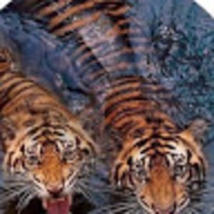 Meet your Posher, Eonszn